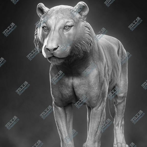 images/goods_img/20210312/3D Tiger model/1.jpg